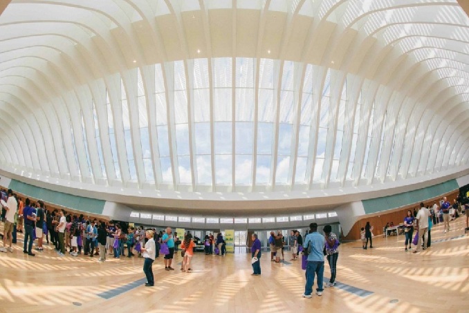 bbookless-library1.jpg bbookless-library1.jpg